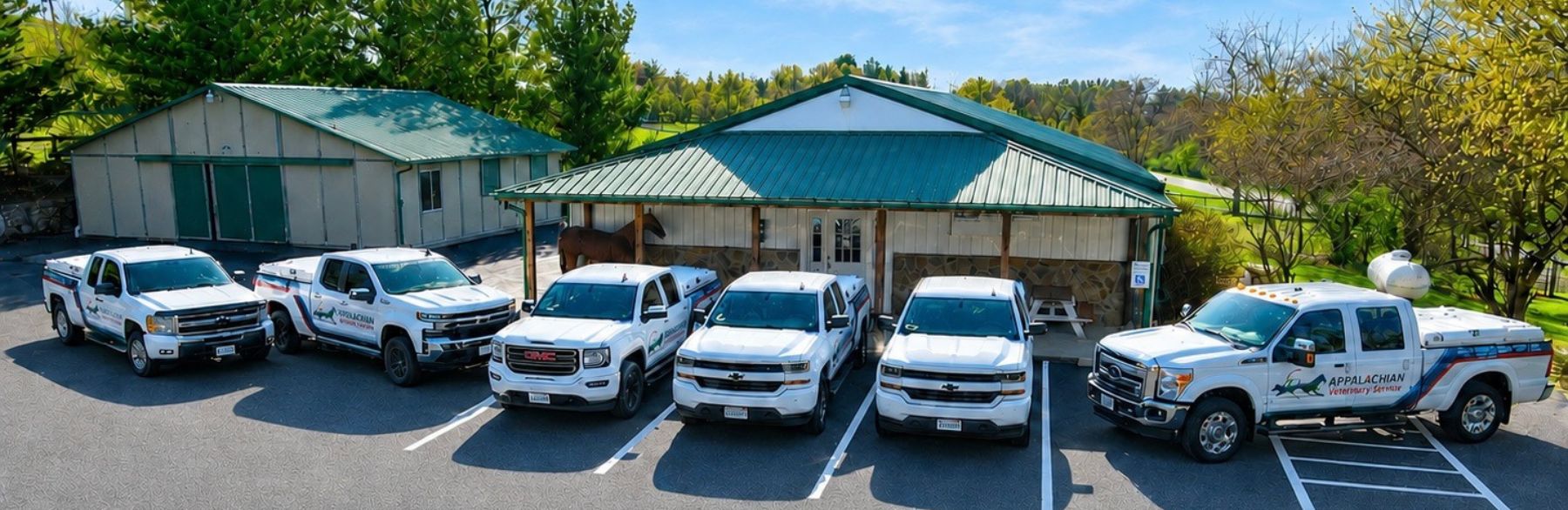 front of Appalachian Veterinary Services